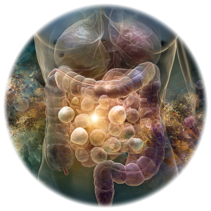 TevaClub_course_Gastroenterology_icon
